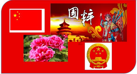 披萨找不同